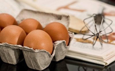 Albumina; uma opção para quem não quer tomar Whey Protein